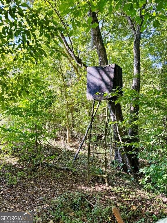 0 Hatcher Spangler Road Property Photo 6