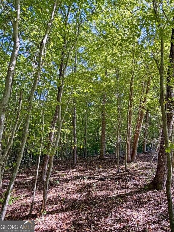 0 Hatcher Spangler Road Property Photo 7