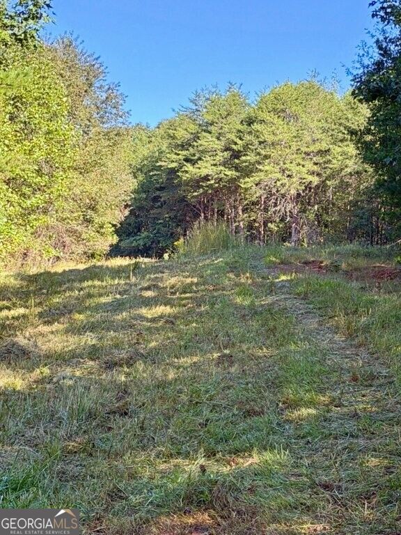 0 Hatcher Spangler Road Property Photo 8