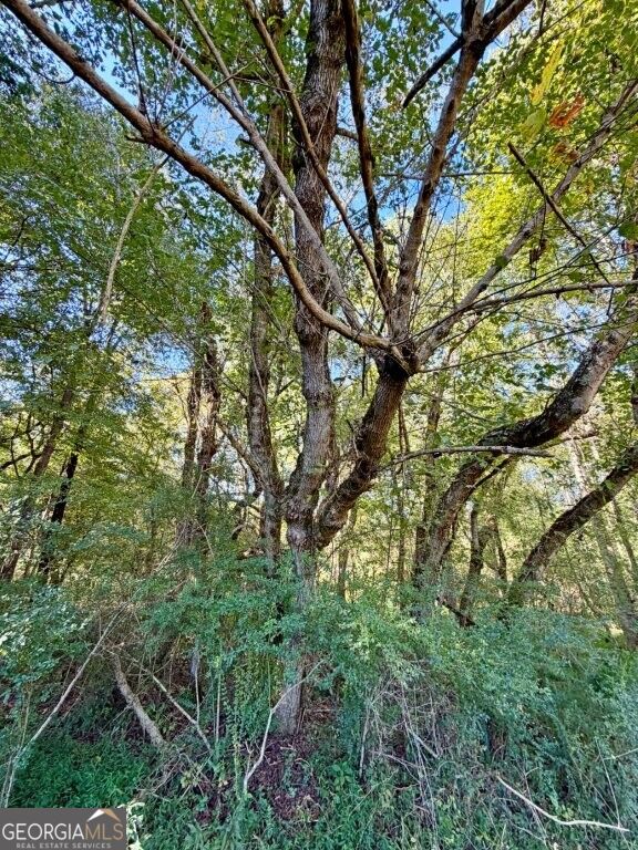 0 Hatcher Spangler Road Property Photo 9