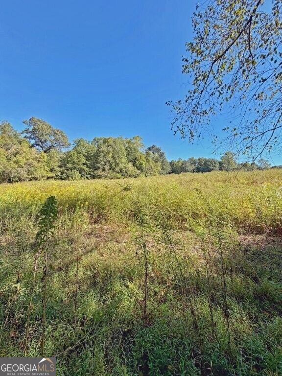 0 Hatcher Spangler Road Property Photo 10
