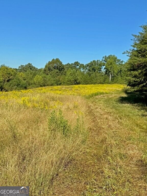 0 Hatcher Spangler Road Property Photo 11