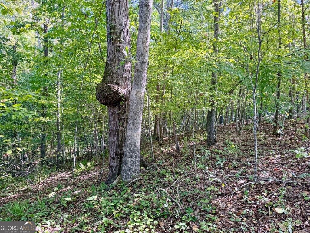 0 Hatcher Spangler Road Property Photo 12