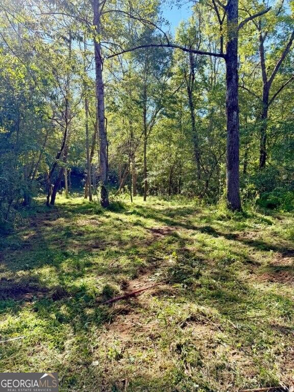 0 Hatcher Spangler Road Property Photo 14