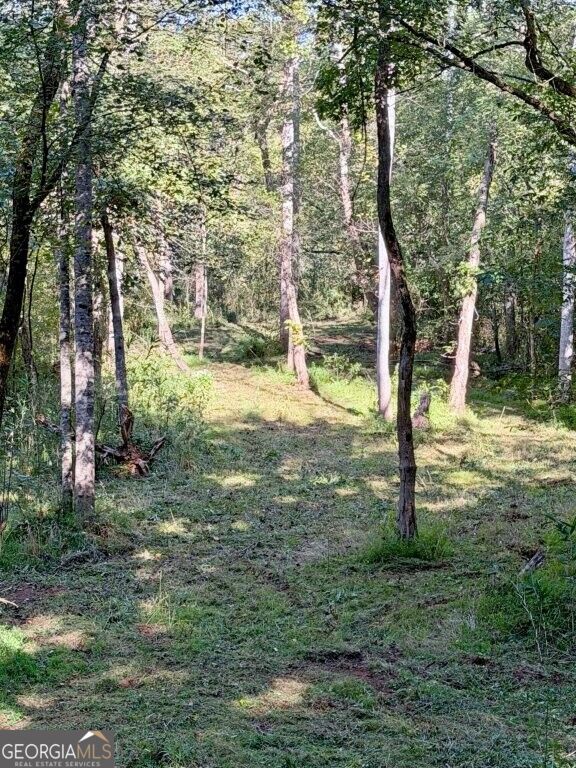 0 Hatcher Spangler Road Property Photo 15