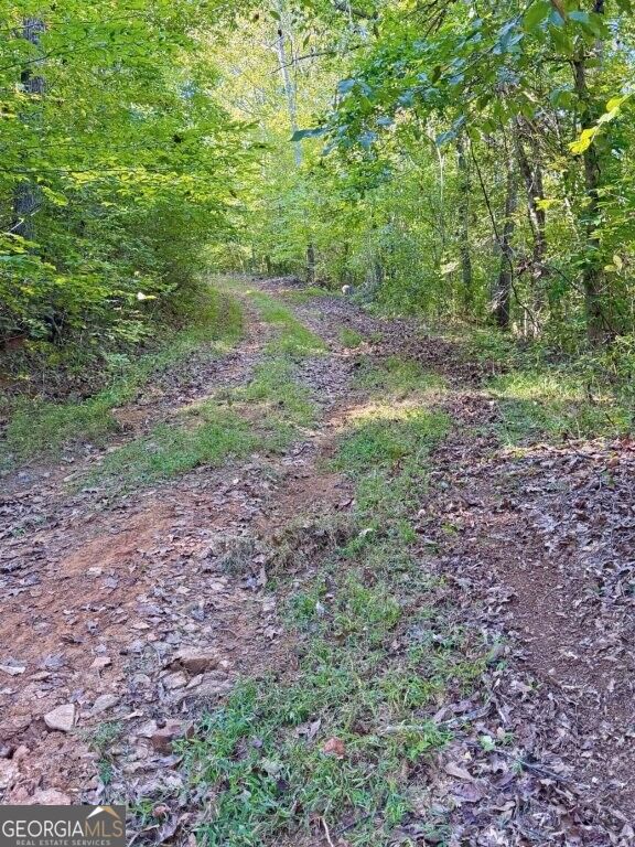 0 Hatcher Spangler Road Property Photo 17
