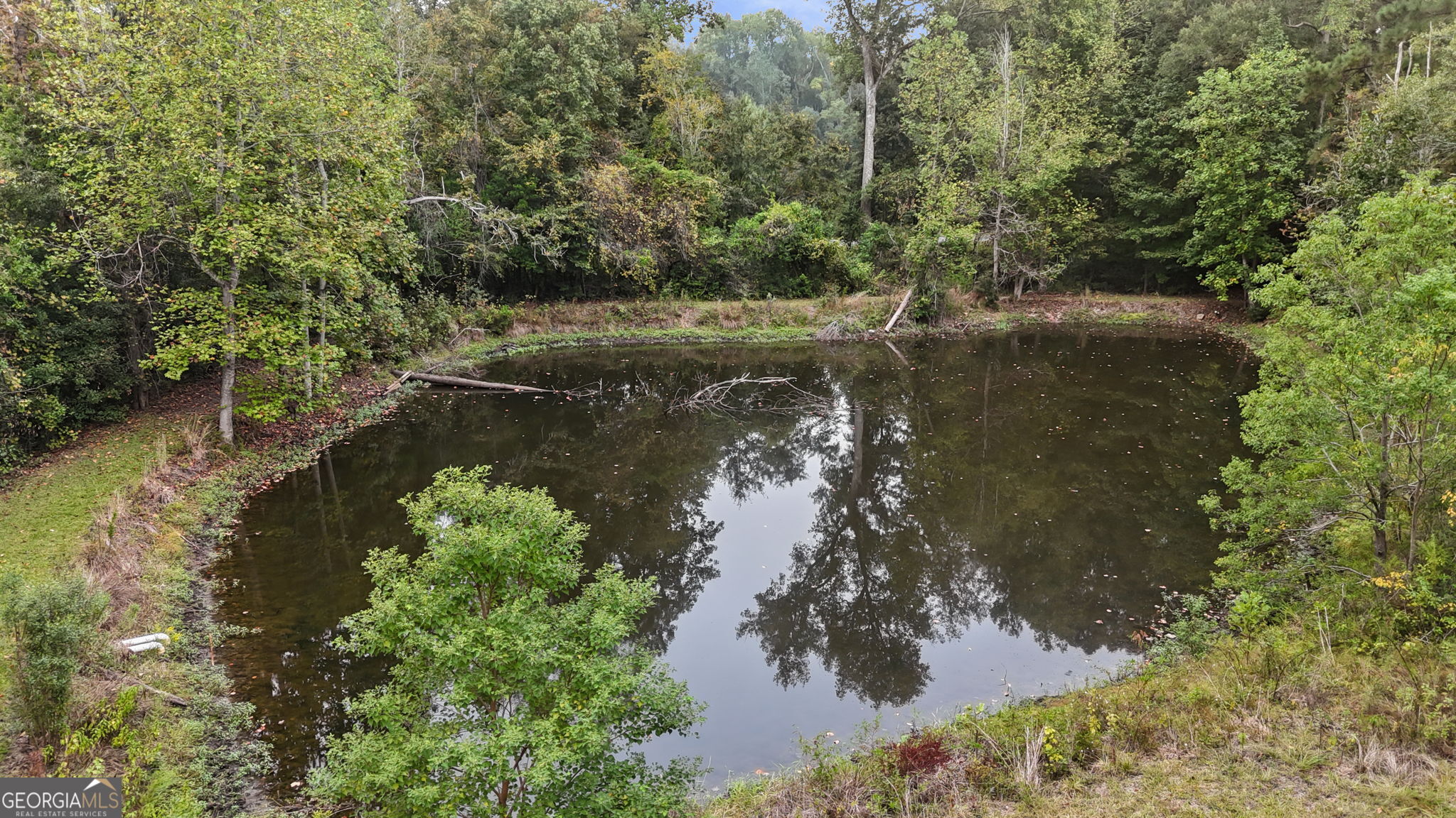 2325 Claxton Dairy Road Property Photo 53