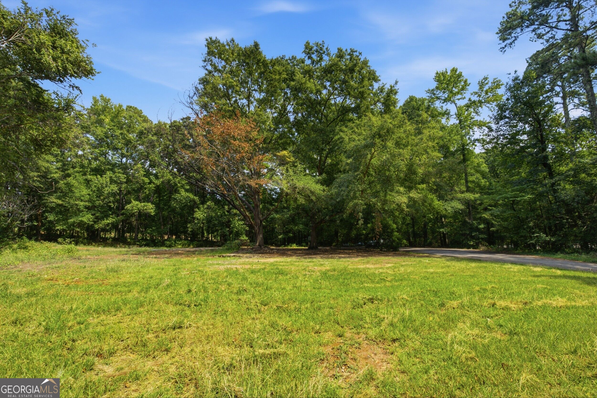 7792 Lyle Drive Property Photo 4
