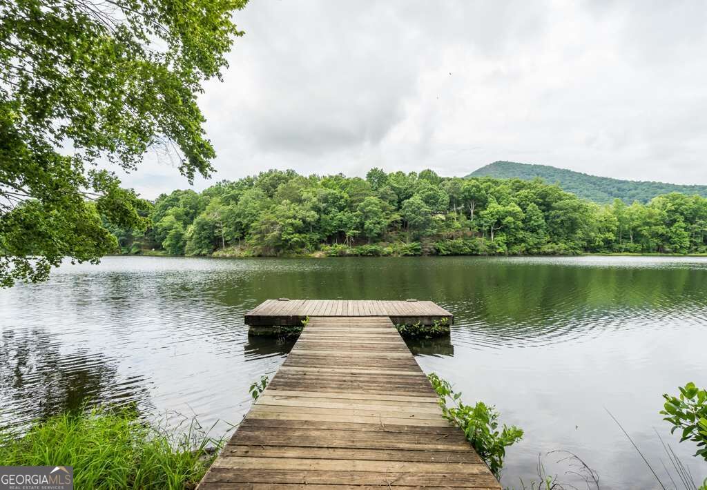 279 Bella Vista Trail Property Photo 42