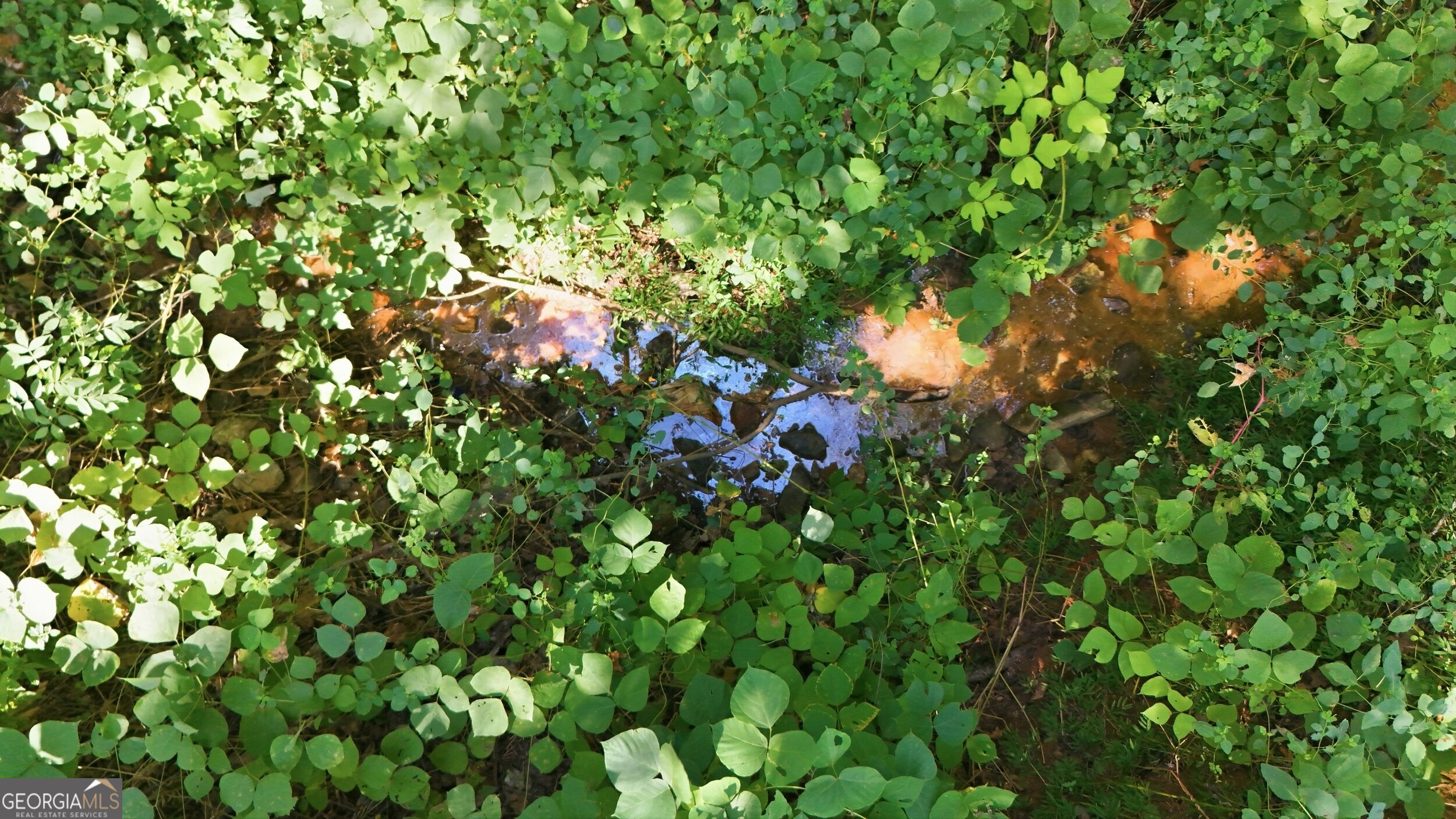 113 Lonesome Pond Road Property Photo 45