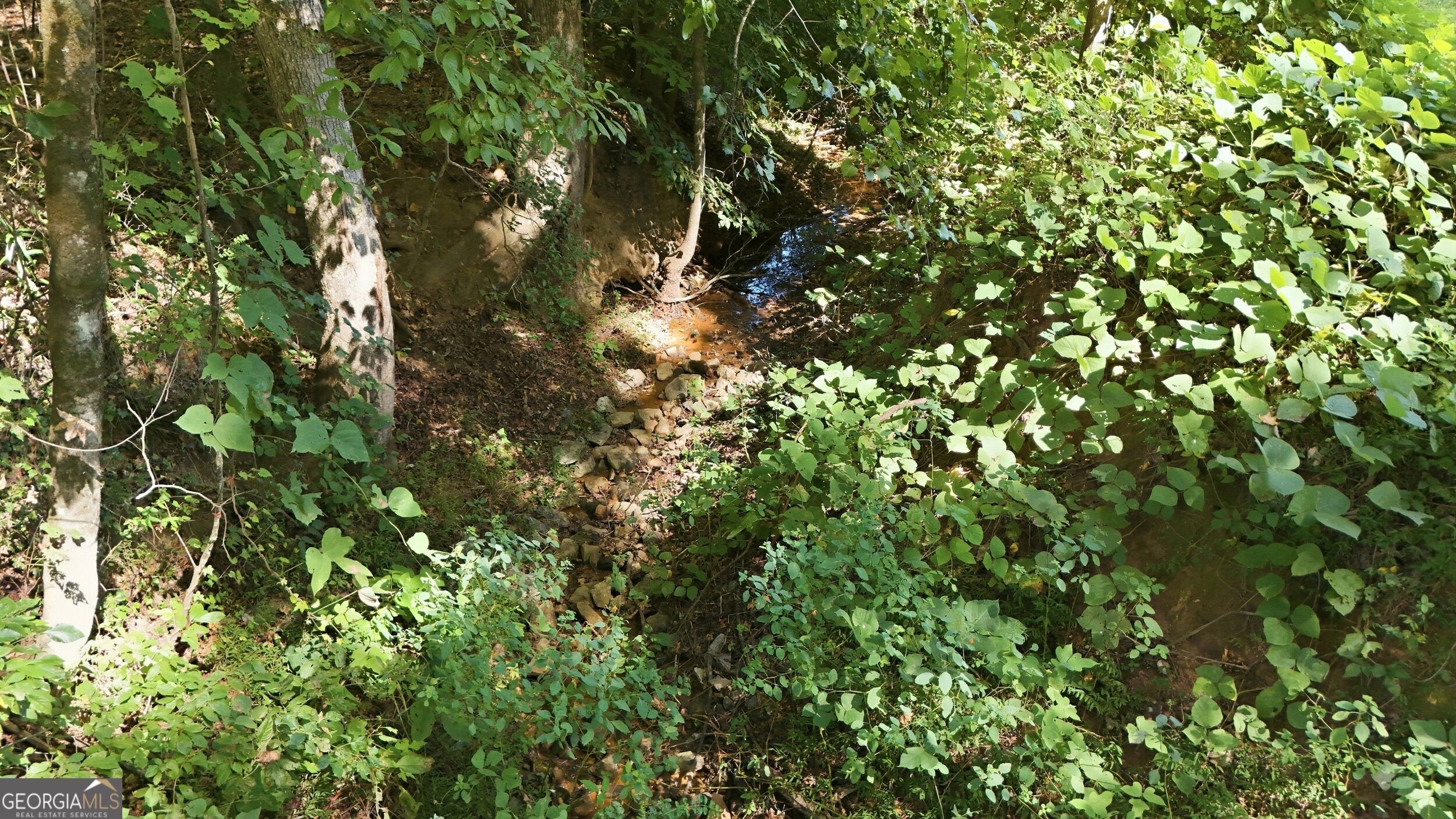 113 Lonesome Pond Road Property Photo 48