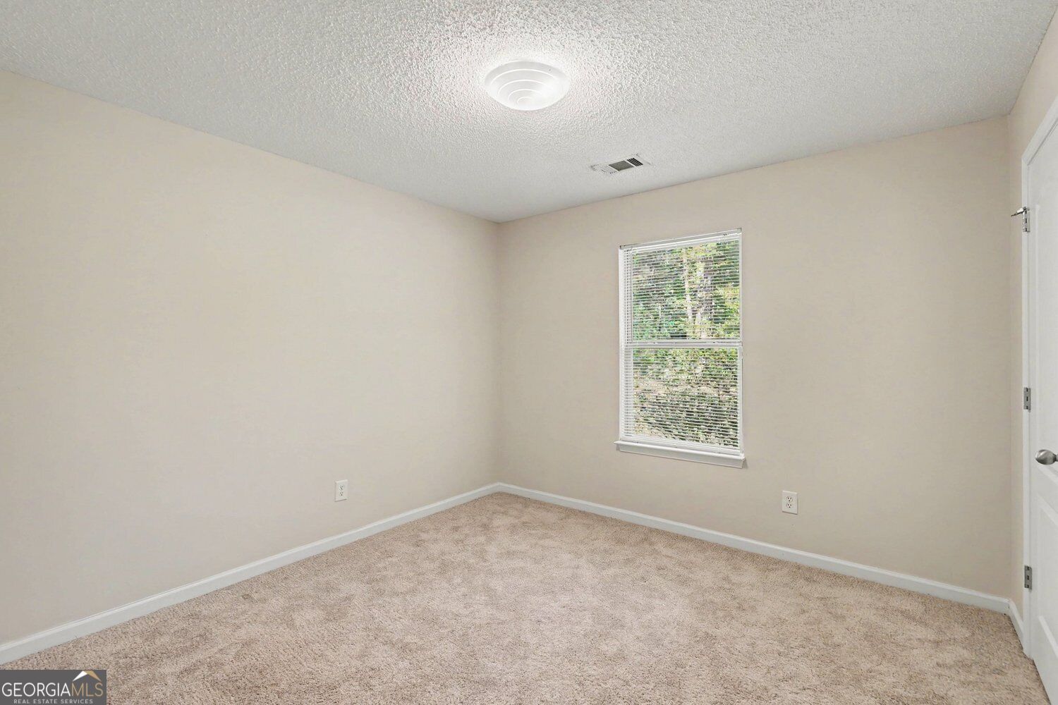 11045 Buchanan Highway Property Photo 11