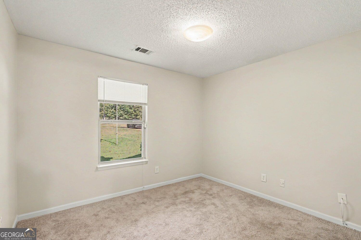 11045 Buchanan Highway Property Photo 14