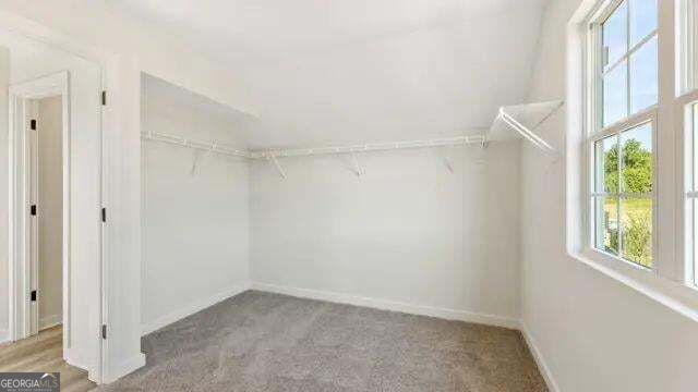 2649 Marshwood Circle Property Photo 19