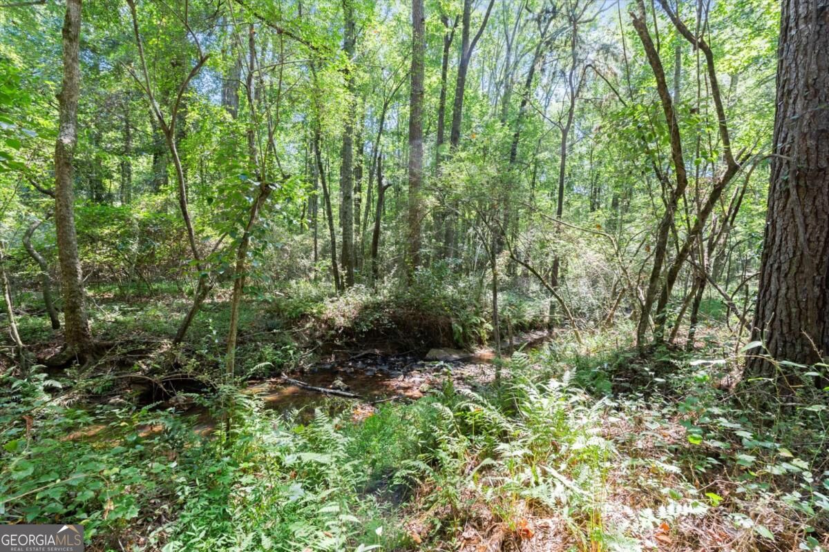 125 Kevins Drive Property Photo 41