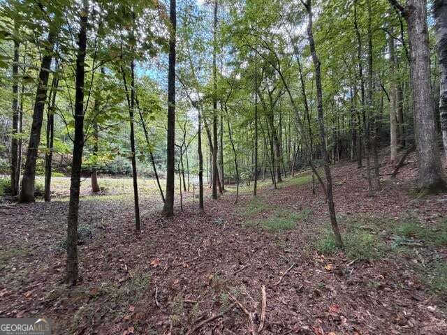 133 Seneca Drive Property Photo 4