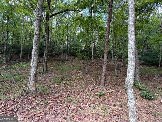 133 Seneca Drive Property Photo 6