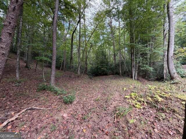 133 Seneca Drive Property Photo 7