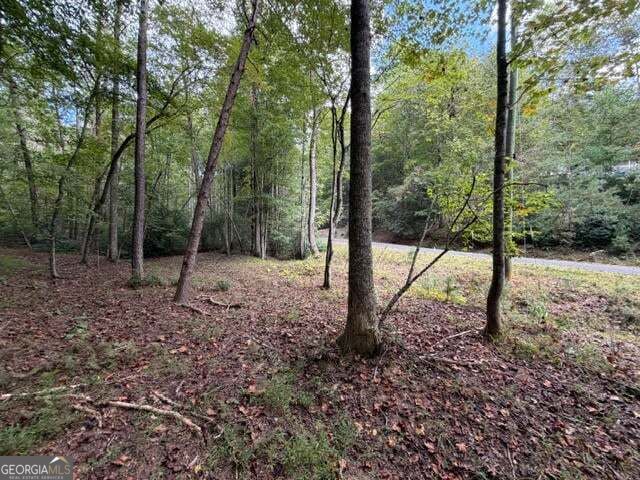 133 Seneca Drive Property Photo 9