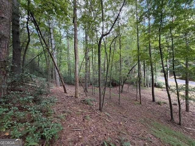 133 Seneca Drive Property Photo 10