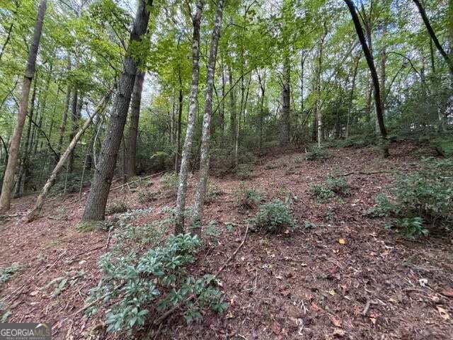 133 Seneca Drive Property Photo 15