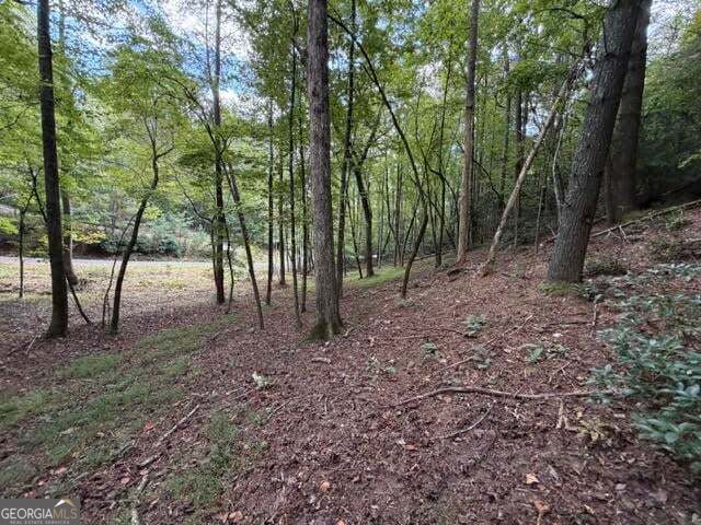 133 Seneca Drive Property Photo 16