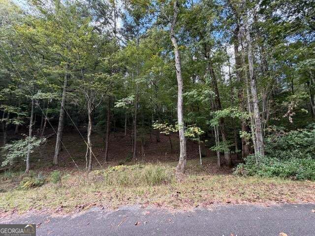 133 Seneca Drive Property Photo 18