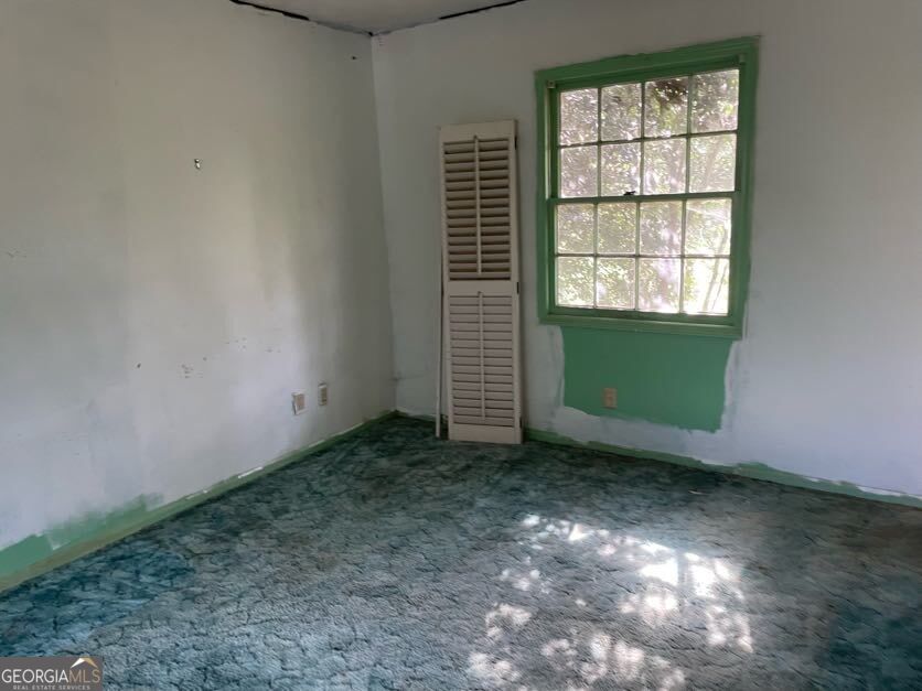 222 Old Ailey Lothair Road Property Photo 12