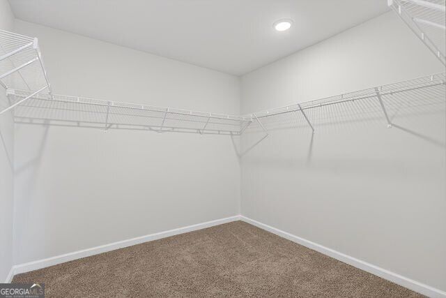 47 Shelby Court Property Photo 28