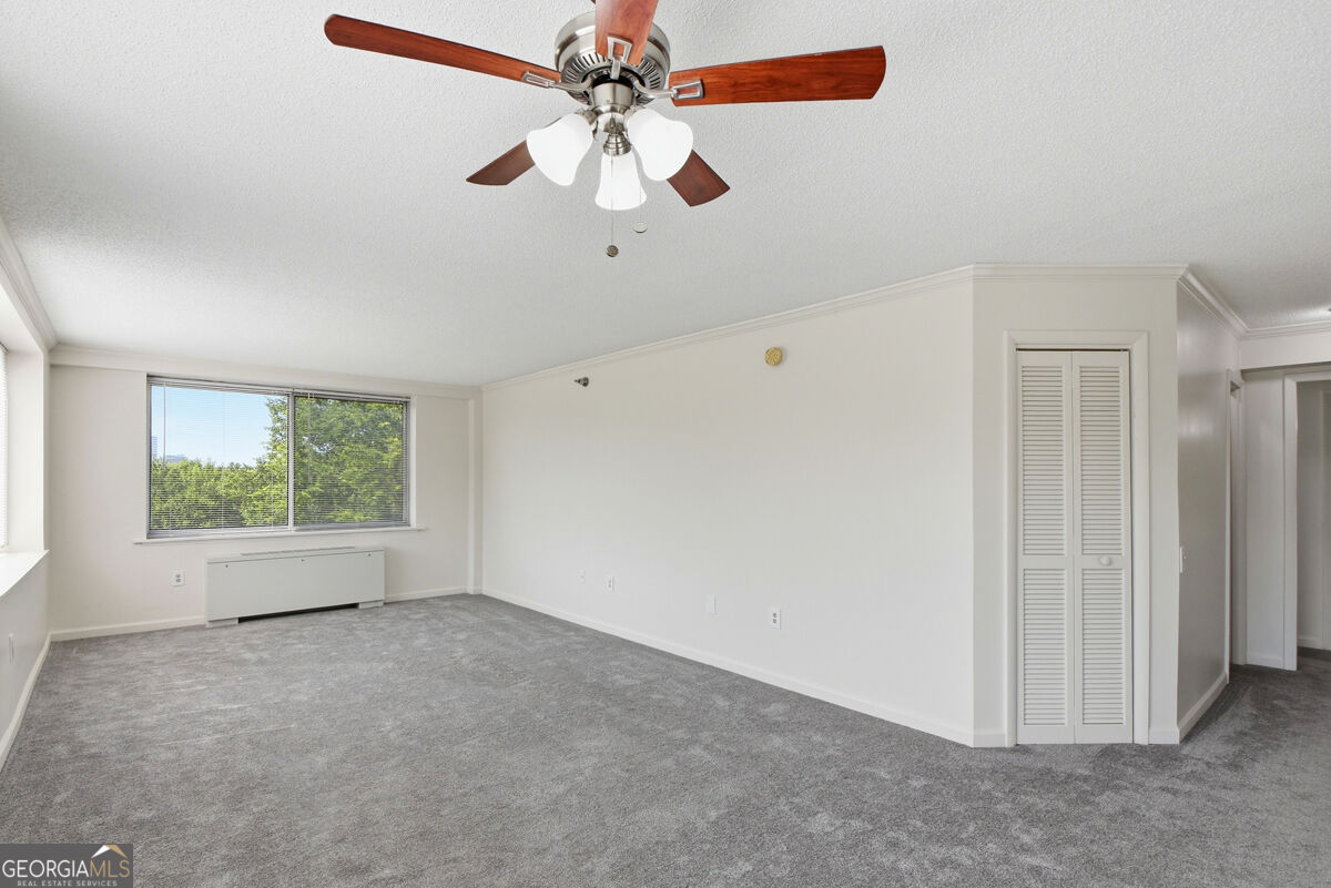 2479 Peachtree Road Ne Apt 317 Property Photo 12