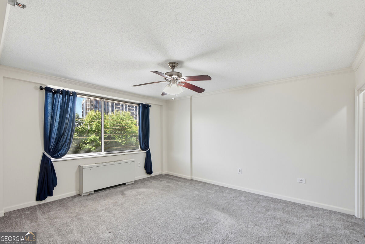 2479 Peachtree Road Ne Apt 317 Property Photo 14