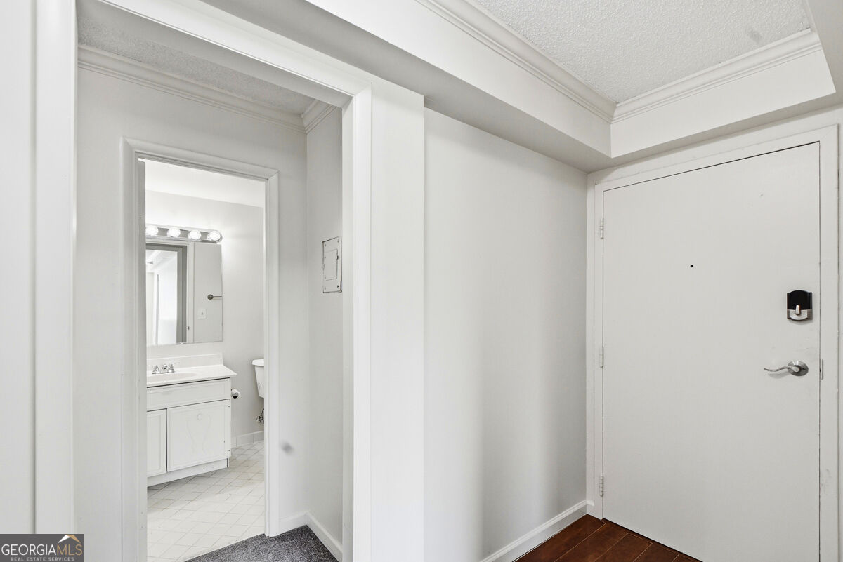 2479 Peachtree Road Ne Apt 317 Property Photo 23