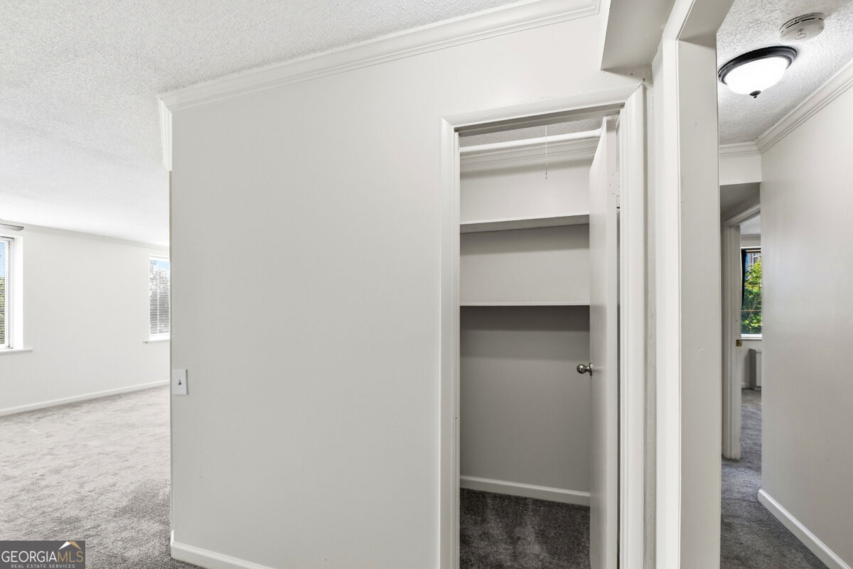 2479 Peachtree Road Ne Apt 317 Property Photo 25