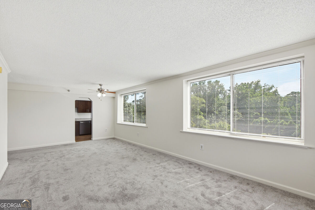 2479 Peachtree Road Ne Apt 317 Property Photo 28