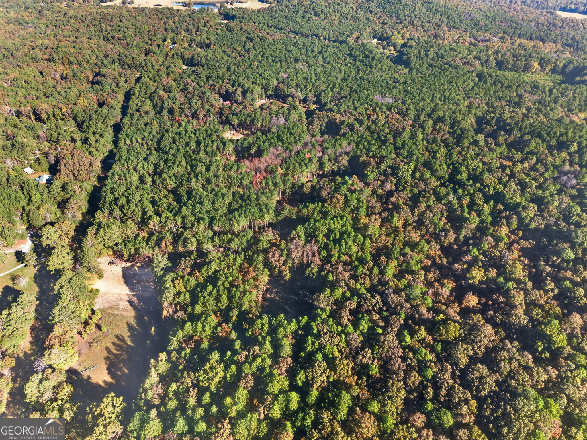 698 Carter Mountain Road Property Photo 41