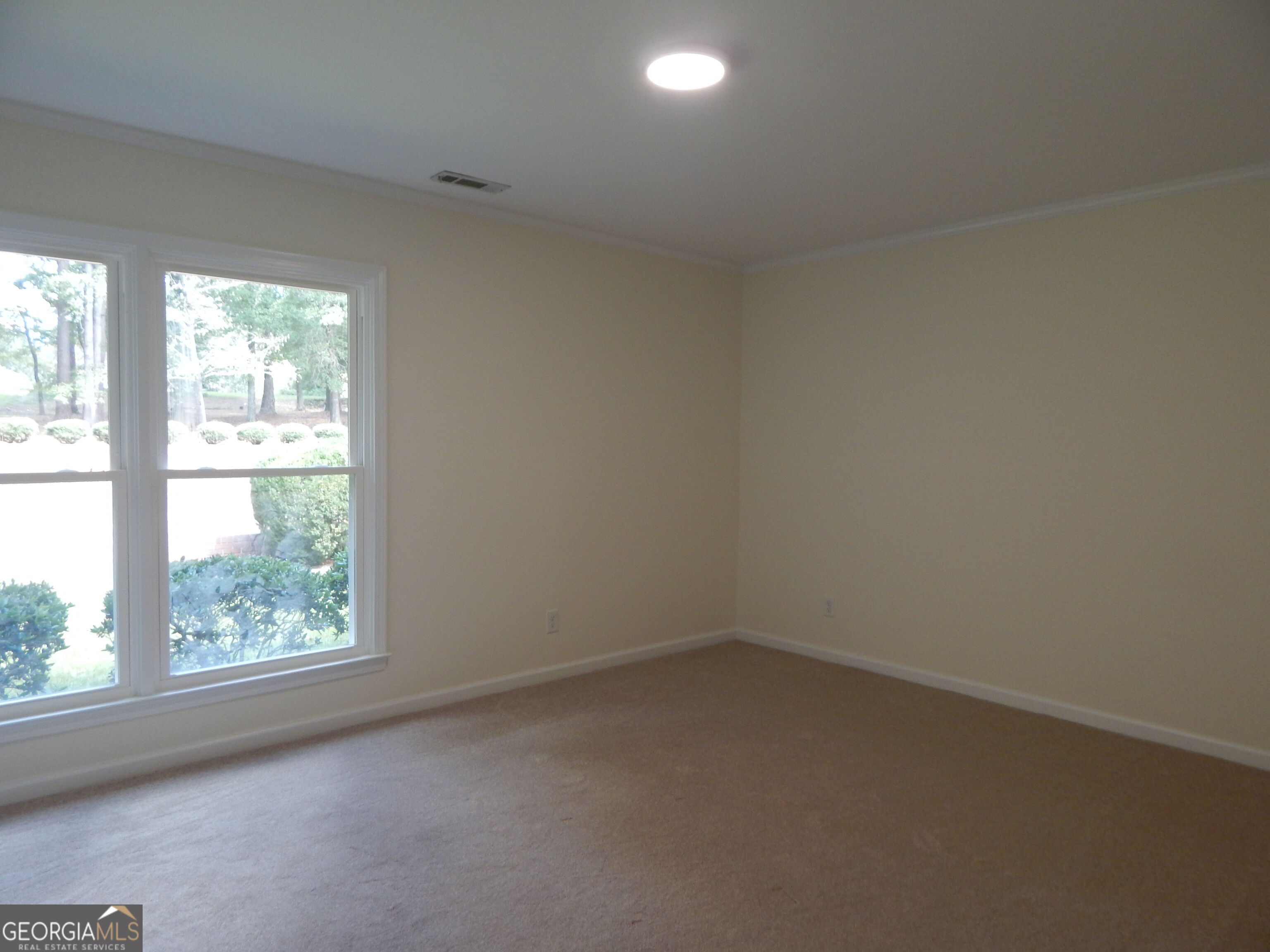 887 Cameron Mill Road Property Photo 31