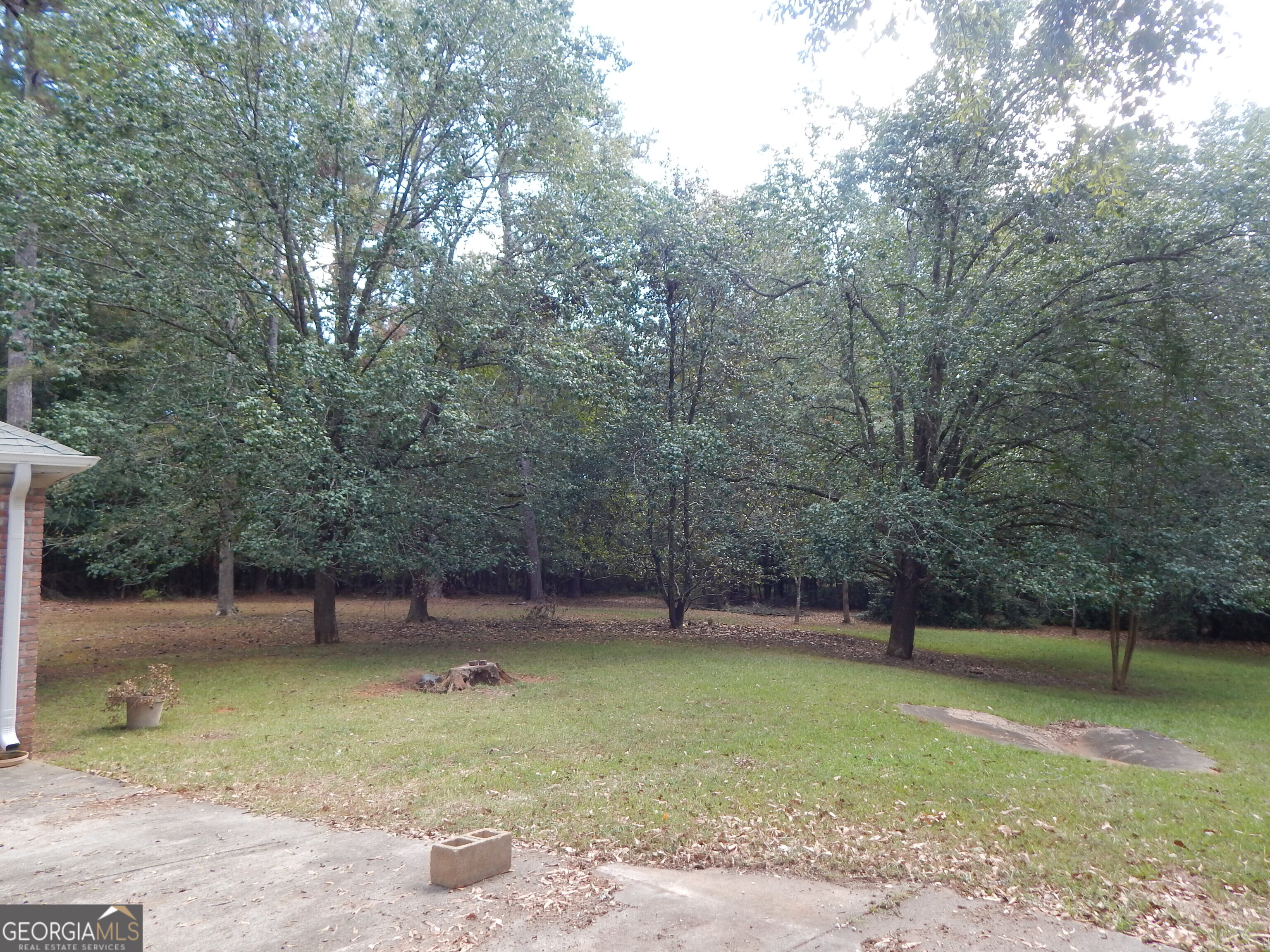 887 Cameron Mill Road Property Photo 43