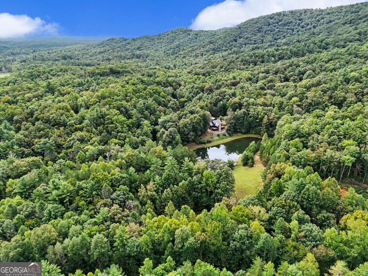 3469 Tails Creek Church Road Property Photo 86