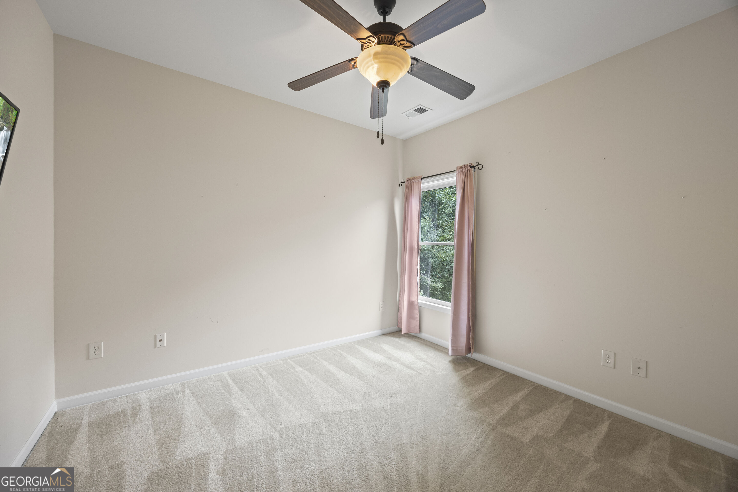 1360 Ashbury Park Drive Property Photo 58