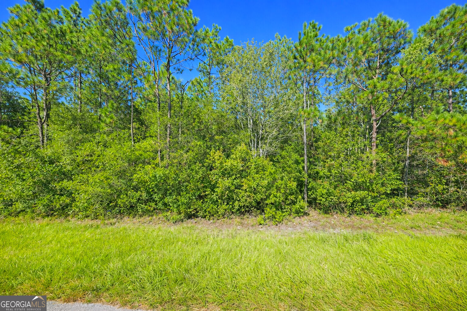 0 Hwy 168 Property Photo 13