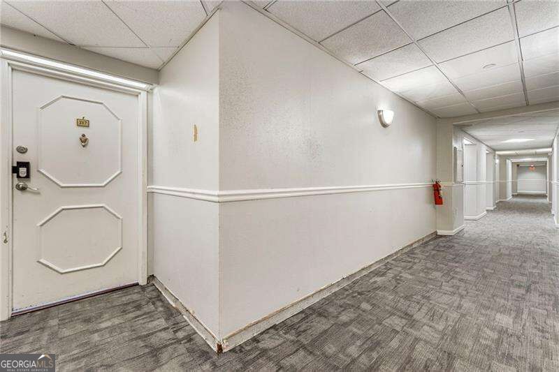 2479 Peachtree Road Ne # 217 Property Photo 19