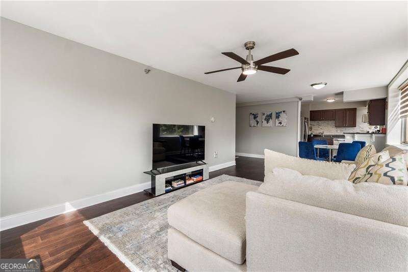 2479 Peachtree Road Ne # 217 Property Photo 24