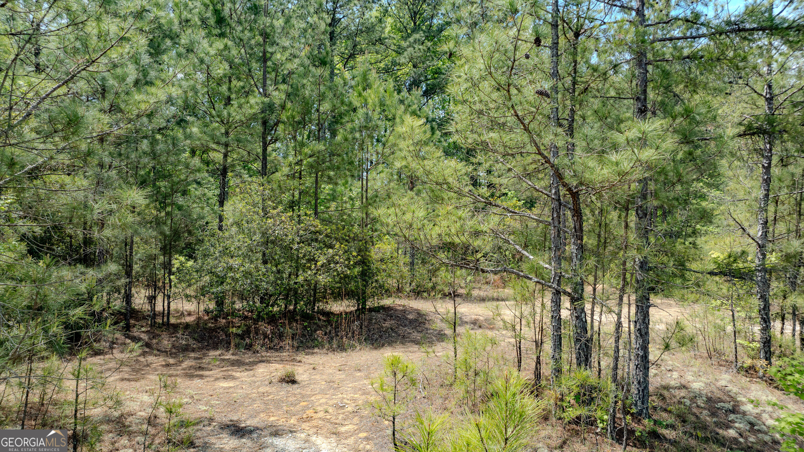 201 Bullsboro Drive Property Photo 19