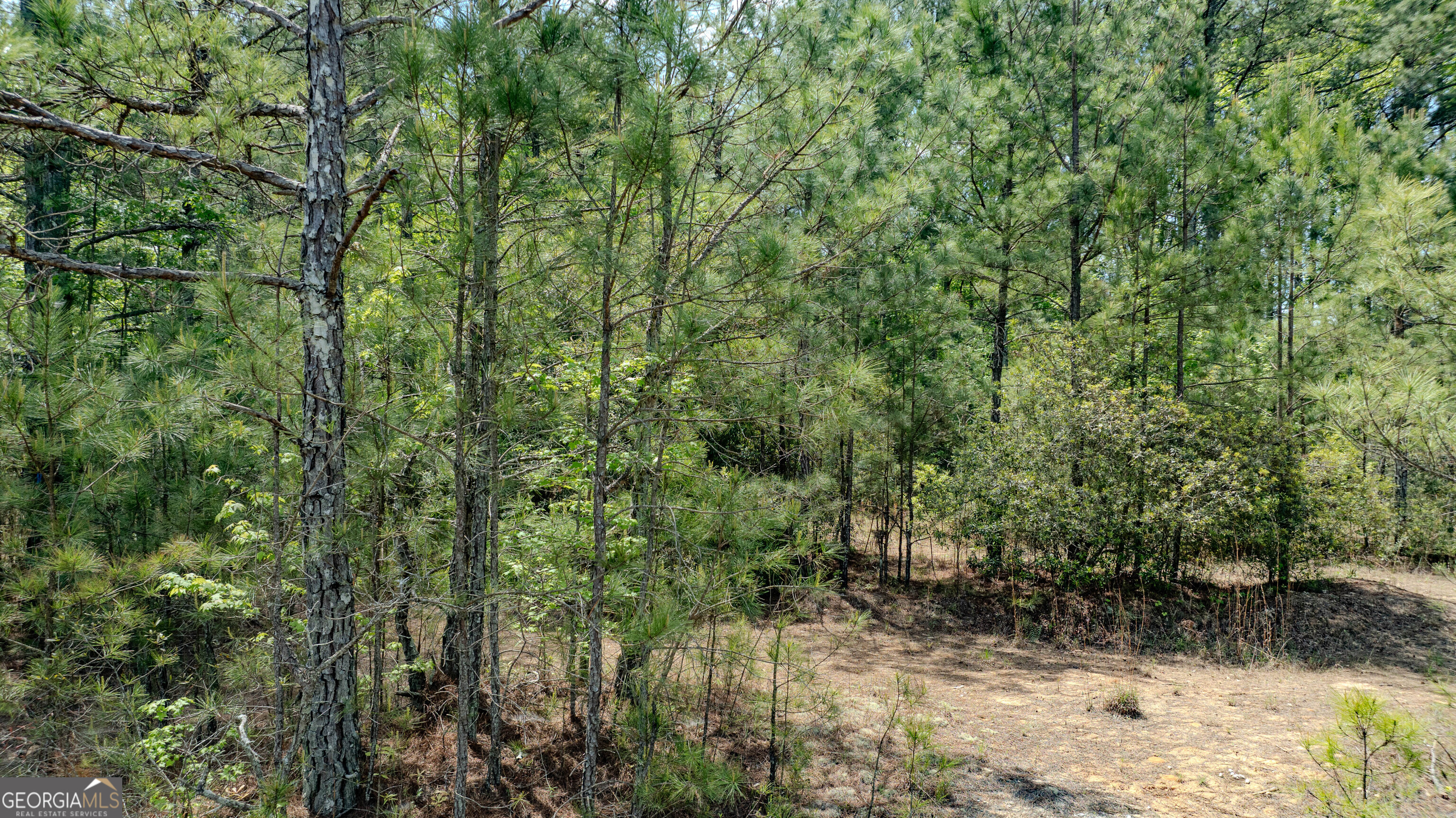 201 Bullsboro Drive Property Photo 20