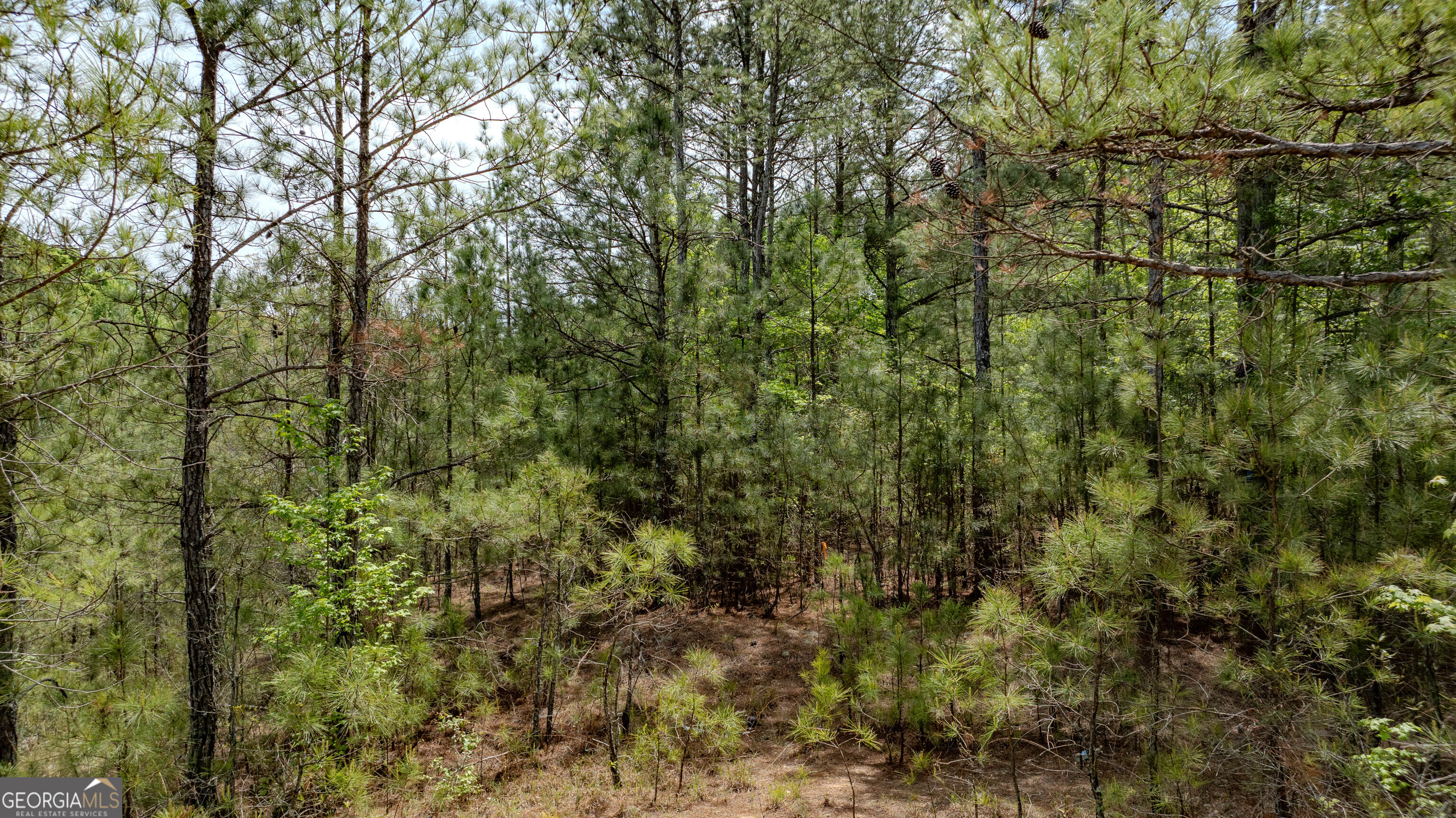 201 Bullsboro Drive Property Photo 21