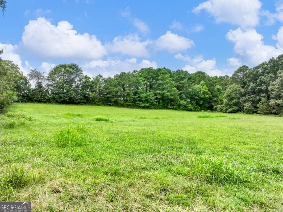 1334 Criswell Road Se Property Photo 46