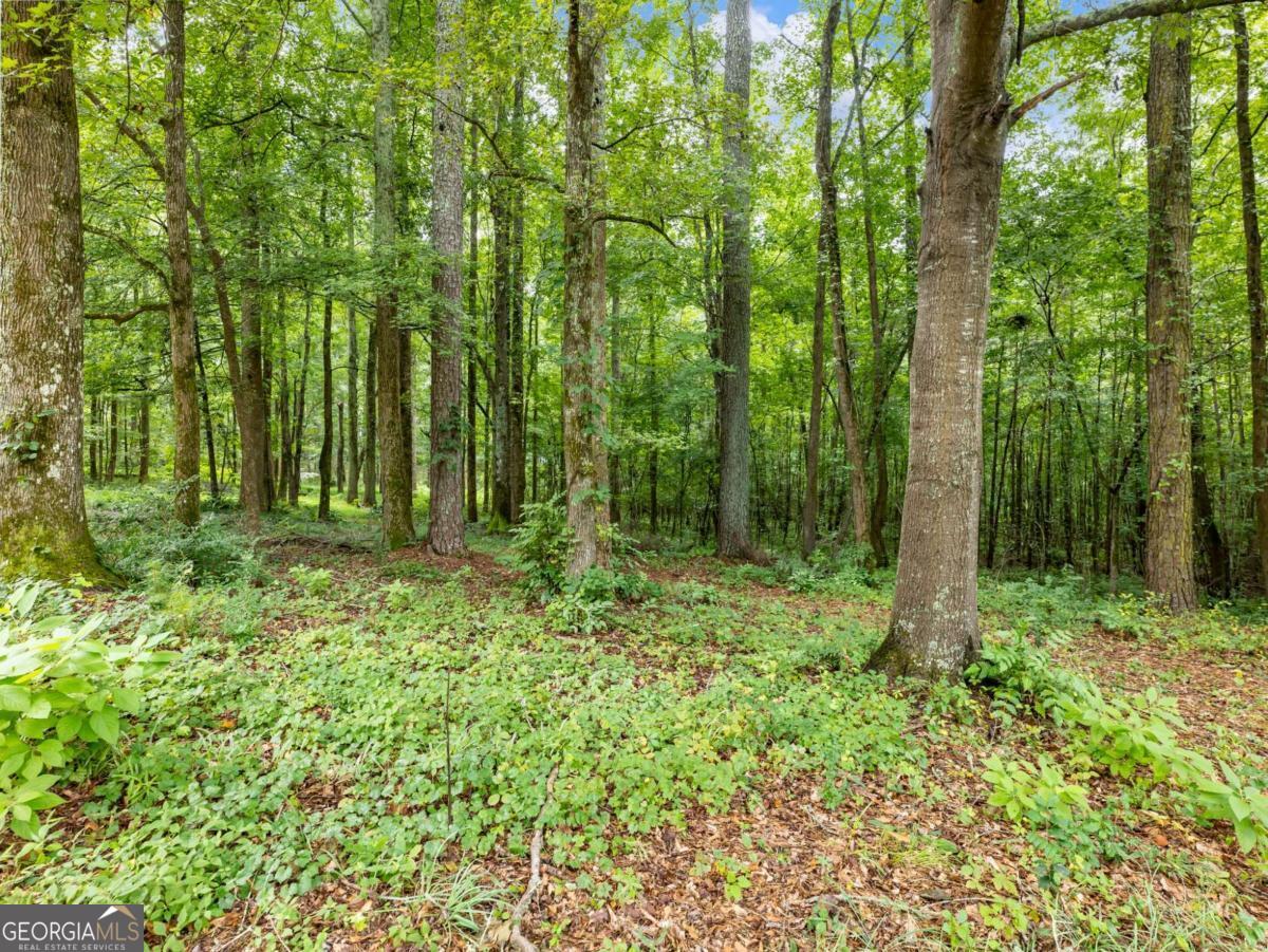 1334 Criswell Road Se Property Photo 65