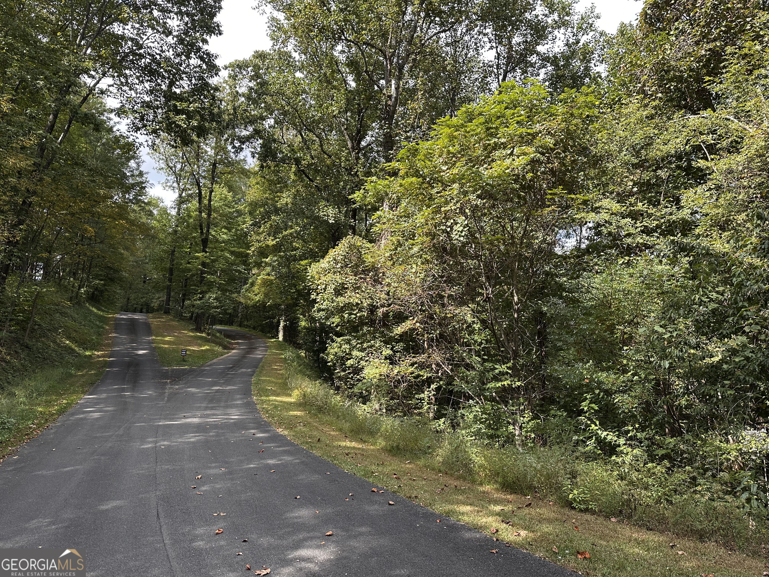 7r Mountain Falls Loop Property Photo 2
