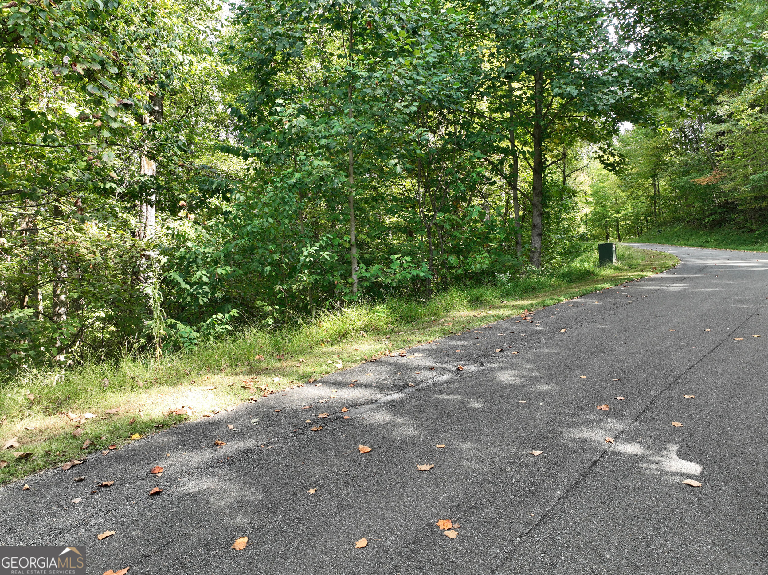 7r Mountain Falls Loop Property Photo 13