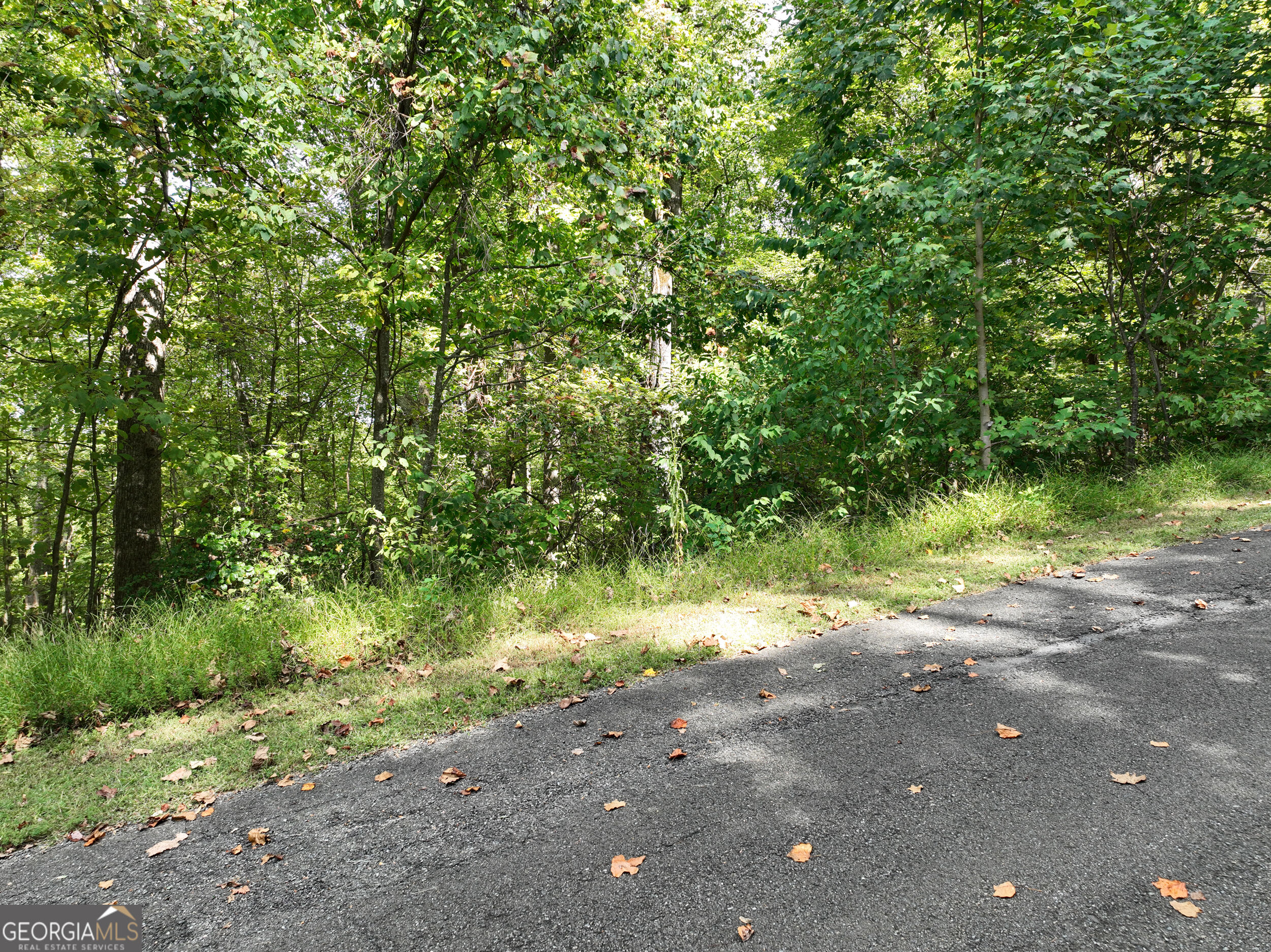 7r Mountain Falls Loop Property Photo 14
